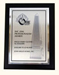 Silver Professionalism Award